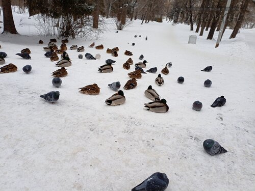 IMG_20241216_134359_173