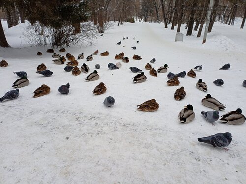 IMG_20241216_134400_211