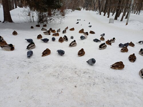 IMG_20241216_134401_227