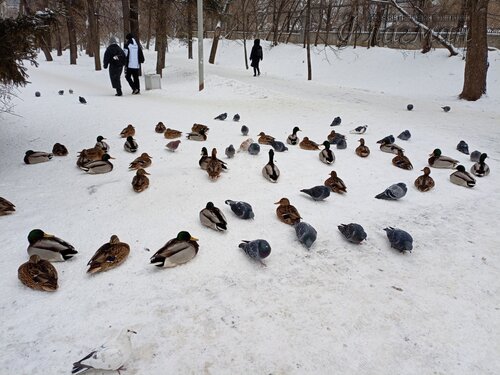 IMG_20241216_134408_296