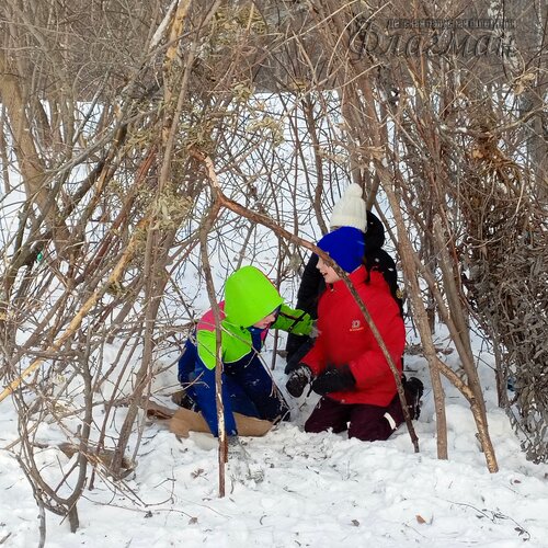 IMG_20250106_134839_485