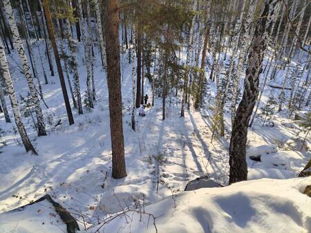 Кривоноговы