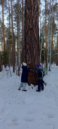 2025_01_25 Палкинские каменные палатки