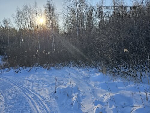 2025-01-25_11-26-27_Ded