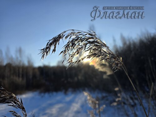 2025-01-25_11-34-08_Ded
