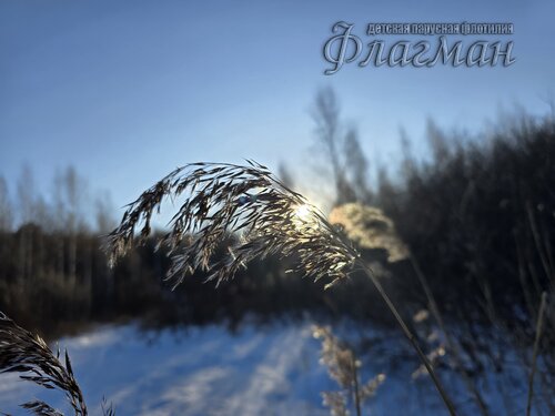 2025-01-25_11-34-09_Ded