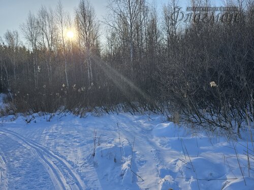 2025-01-25_11-26-27_Ded