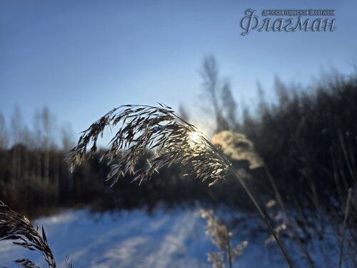 2025-01-25_11-34-09_Ded
