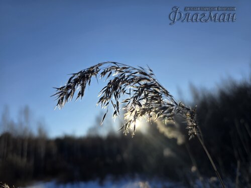 2025-01-25_11-34-25_Ded