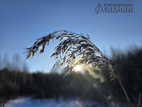 2025-01-25_11-34-31_Ded