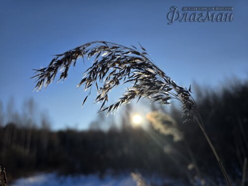 2025-01-25_11-34-32_Ded