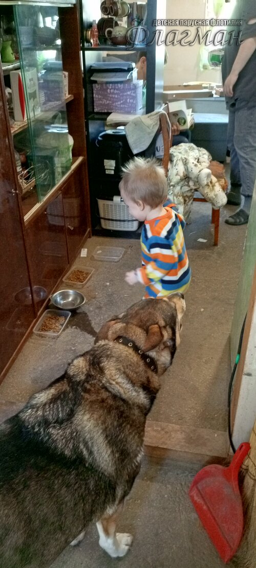 IMG_20250209_104643_076