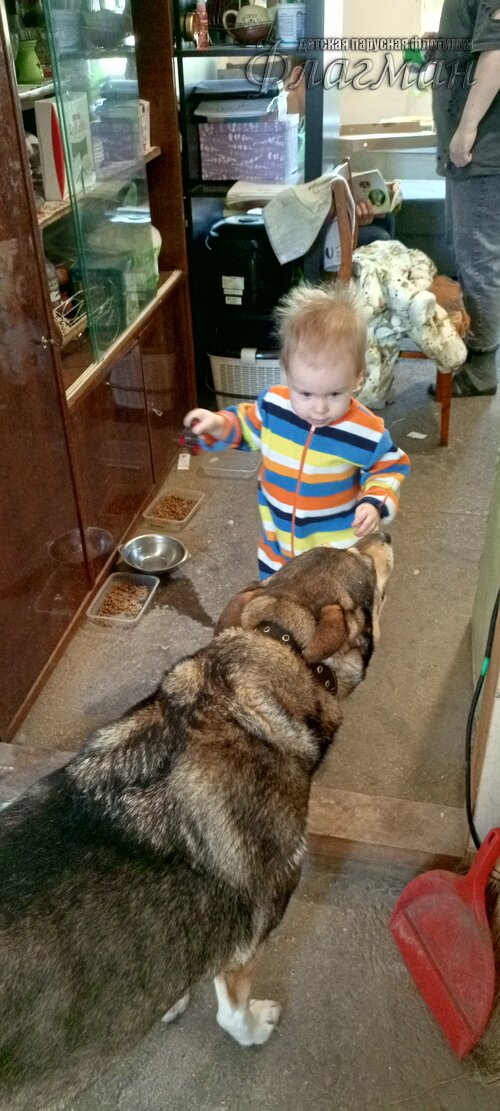 IMG_20250209_104645_561