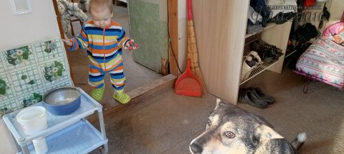 IMG_20250209_104823_151