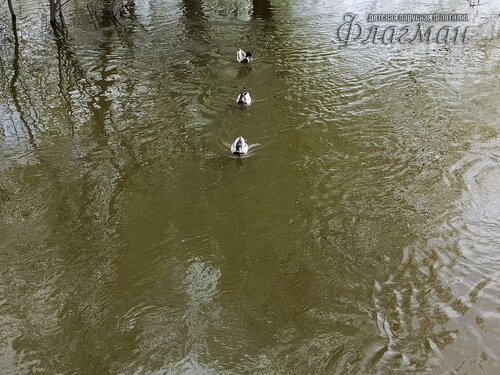 IMG_20250508_141022_686