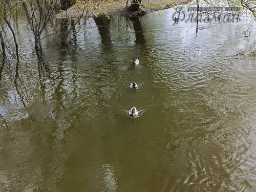 IMG_20250508_141023_797