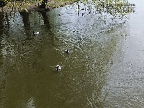 IMG_20250508_141026_276