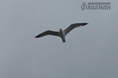 YE1A7877