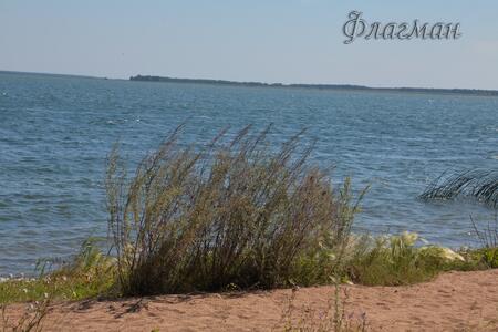 Нина Горбатовская