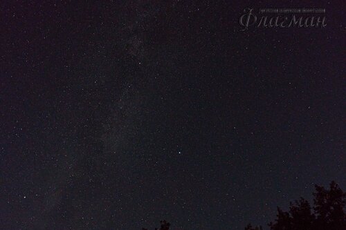 DSC05790