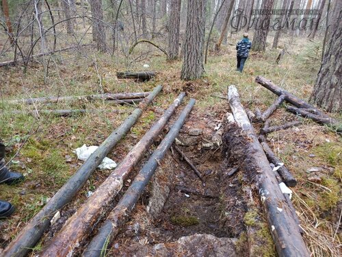 2025-11-17_14-03-18_01