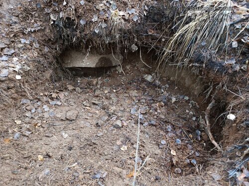 2025-11-17_14-03-30_06