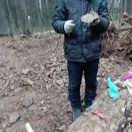 VID_20251116_123341