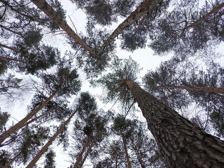 Туголуков Евгений