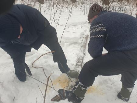 Туголуков Леонид S9