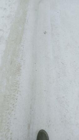 Туголуков Евгений