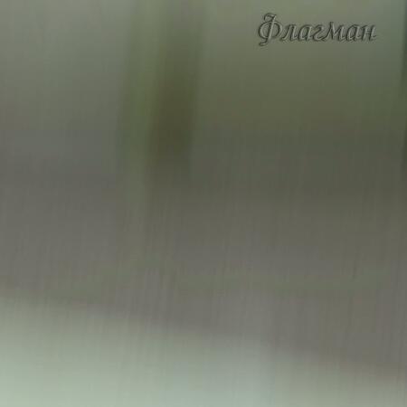 2026-02-13_16-50-17_Tug_VID