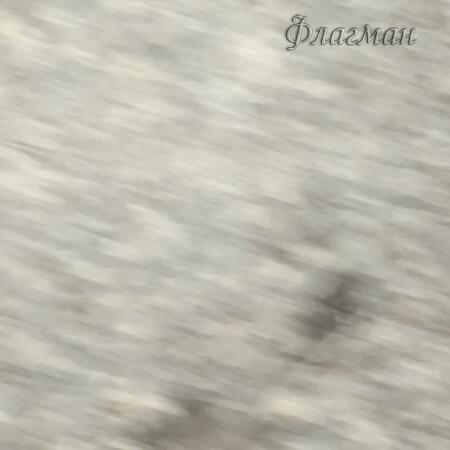 2026-02-13_17-16-18_Tug_VID