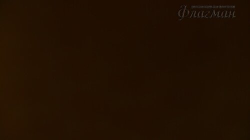 MVI_2161