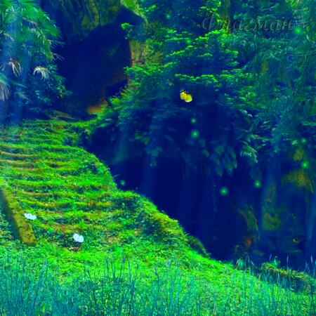 Футаж сказочный лес