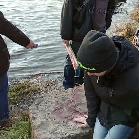 VID_20201104_120434