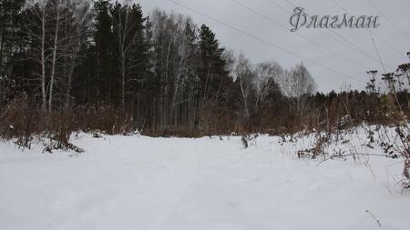 2019_12-07 НГ 2020