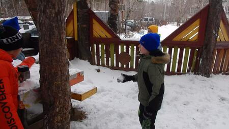 Кузьмина, Кривых проект