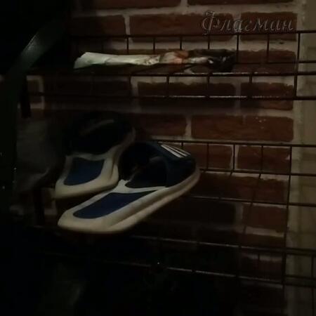 video5226756392123131049