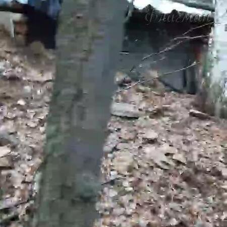 video_2025-11-17_14-05-41