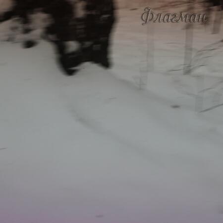 1B1A7969