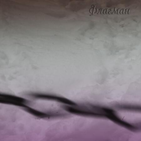 1B1A7973